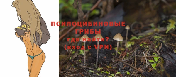 спиды Елабуга