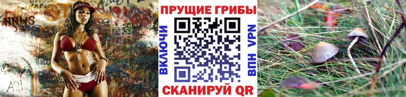 Галлюциногенные грибы мицелий  Тотьма 