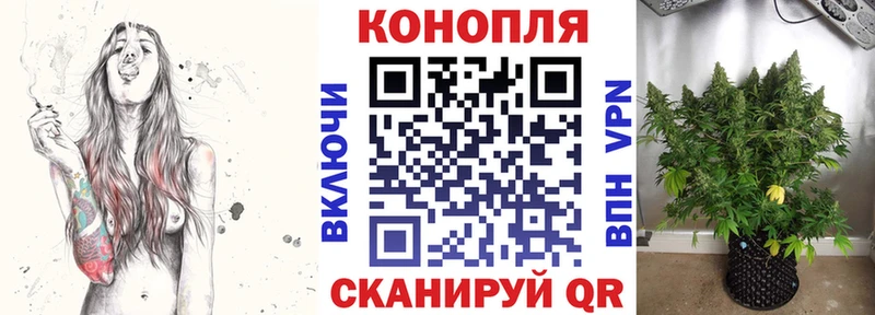 Конопля MAZAR Тотьма